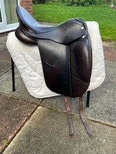 "Rare" Havana Brown Albion