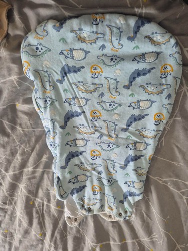 Baby boy dinosaur sleeping - baby,