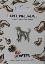 DALMATIAN dog Pin, English