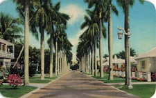 Postcard Florida Royal Palms Residential Homes Tropical c1953 posted FL 