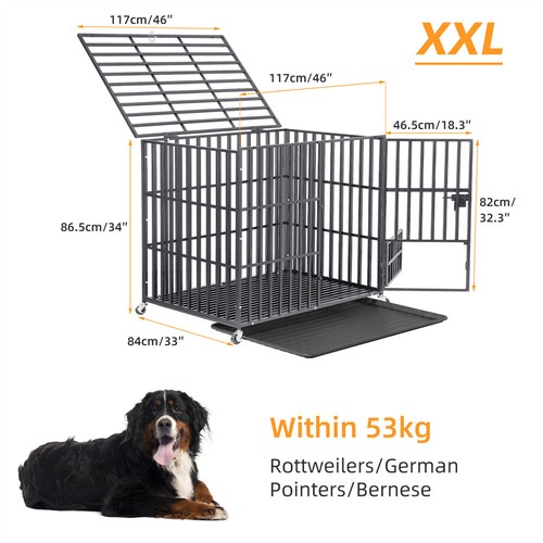 Xxl large pet dog - , xl