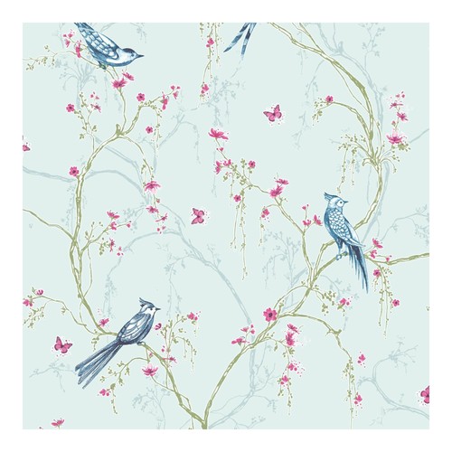 Superfresco easy songbird - easy,