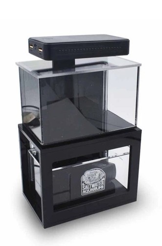 Pnw customs micro reef - micro,