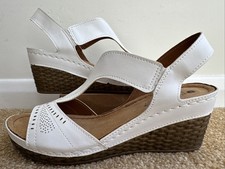 Pavers Anatomic By Carla Verde