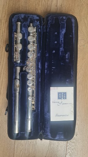Trevor james 10x flute silver - flute,