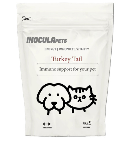 Turkey tail mushroom extract - tail,