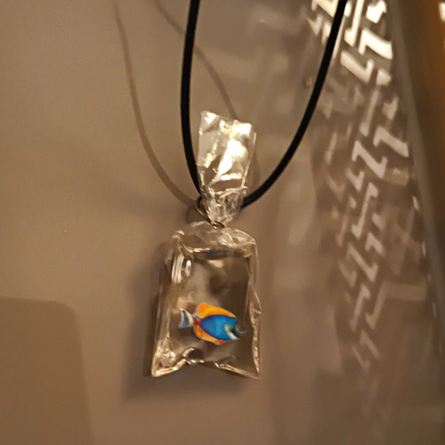 Clear rectangular plastic - rectangular, fish