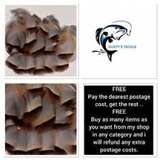 French Partridge Feathers 100+