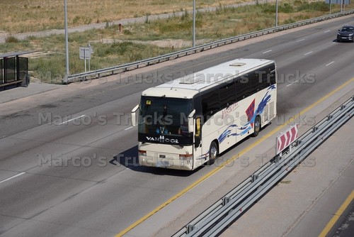 Bus photo van - bus, hool