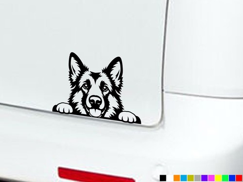 Peeking german shepherd dog - peeking,