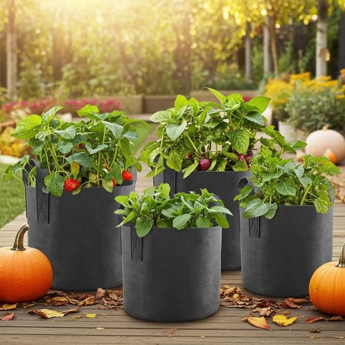 Set 7 gallon - of, 5