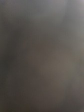 Royal Ulster Constabulary