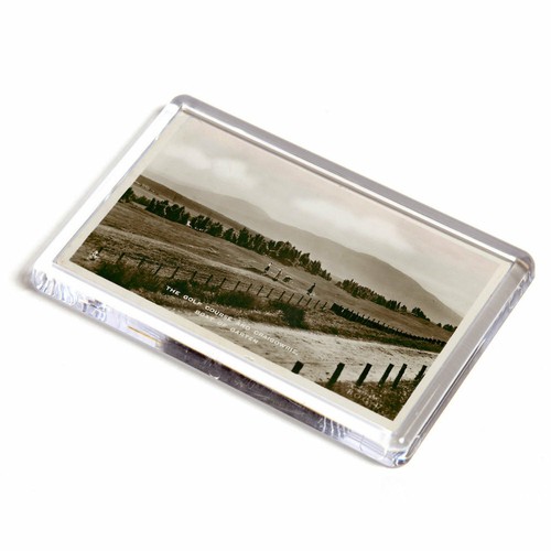 Fridge magnet vintage - magnet,