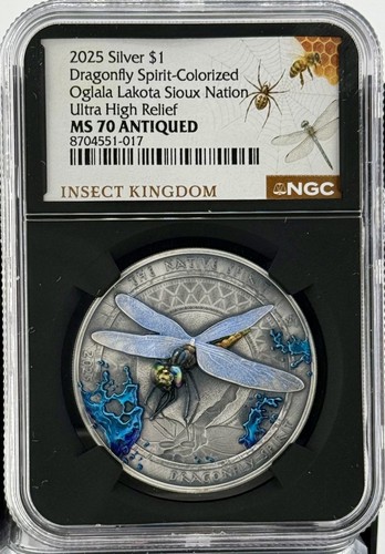 2025 sioux nation - sioux,