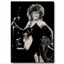 Tina Turner On Stage Black and White Wall Art Printed on Sheet Metal Sign