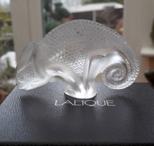 Lalique Clear Chameleon in Pristine condition boxed . Gift idea 