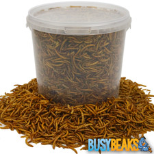 Busybeaks dried mealworms - dried,