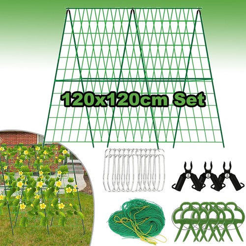 Cucumber trellis for garden - cucumber,