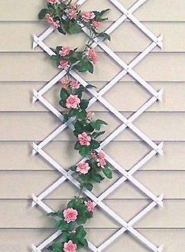 White expanding trellis - white,