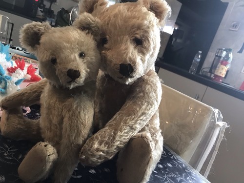 Two 1950s steiff - teddy, bears