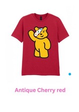 Pudsey Adult T Shirt