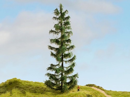 Noch spruce master tree - spruce,