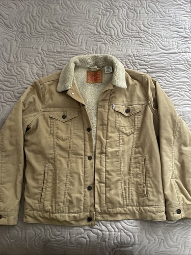 Levi men type iii - type,