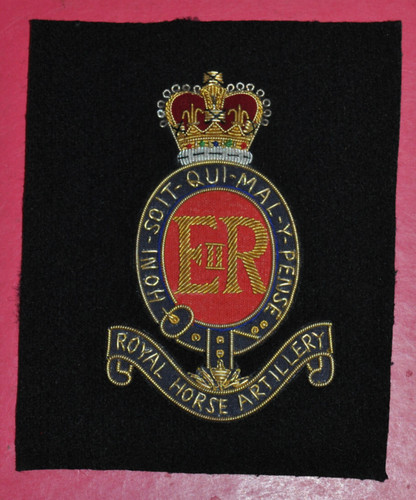 Royal horse artillery - horse,