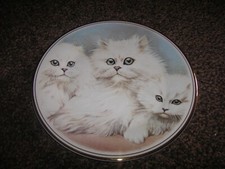 Edwardian Fine Bone China