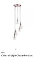 Odessa 5 Light Cluster | Rose