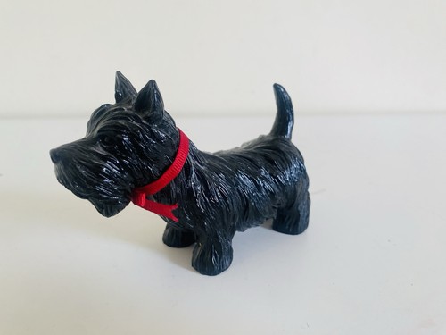 Small black scottie - small, dog