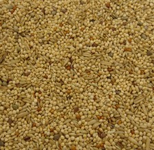 20kg budgie food - 20kg,