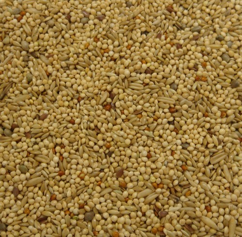 20kg budgie food - budgie,