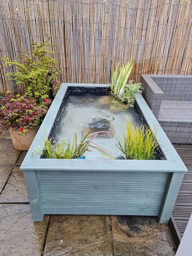 Raised garden pond - garden, top