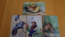 Pictorial Postcards, British Birds, Roland Green