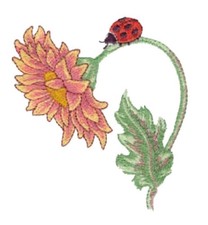 MACHINE EMBROIDERY DESIGNS USB