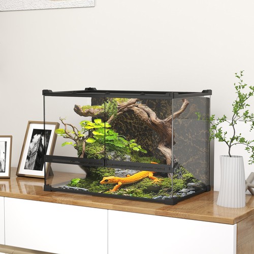 Glass terrarium with stone - glass,