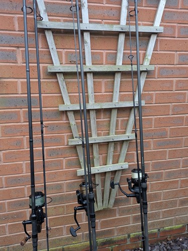 Rods daiwa black widow - rods.2,