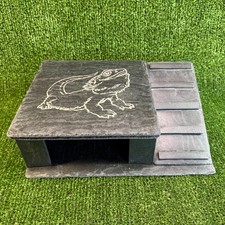 XL - Bearded Dragon Laser