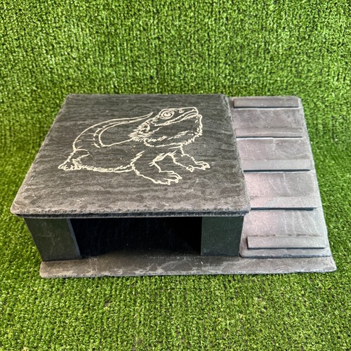 Bearded dragon laser - -,