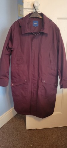 Cotton traders maroon - cotton,