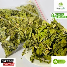 Calea Zacatechichi Mexican