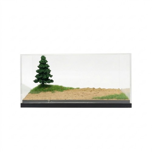 Display case with - case,