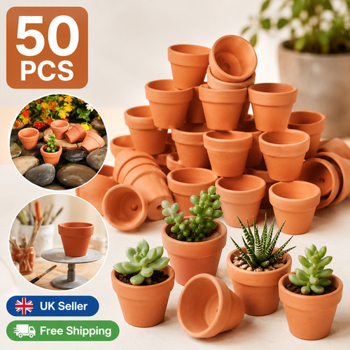 50pcs mini terracotta clay - 50pcs,