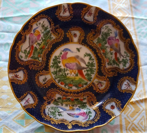 Samson porcelain blue - , scale