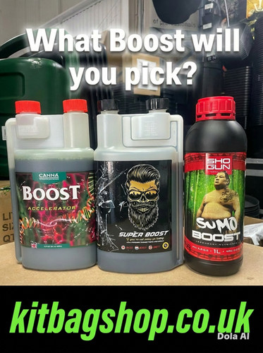 Canna boost accelerator - canna,