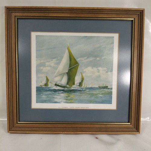 Cambria thames sailing - cambria,
