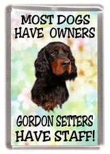 Gordon Setter Dog Fridge