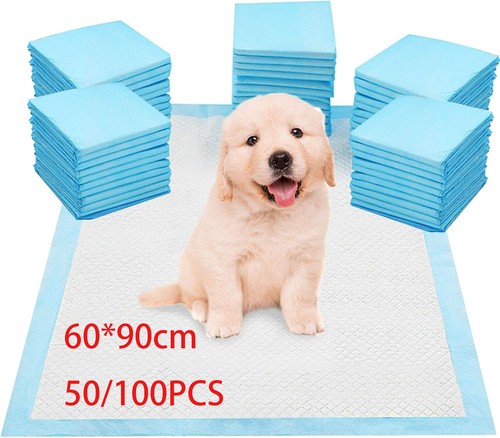 100 large puppy - large, training