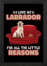 Labrador Retriever Puppy